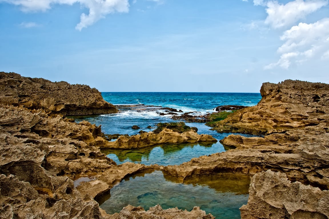Image of tidepool