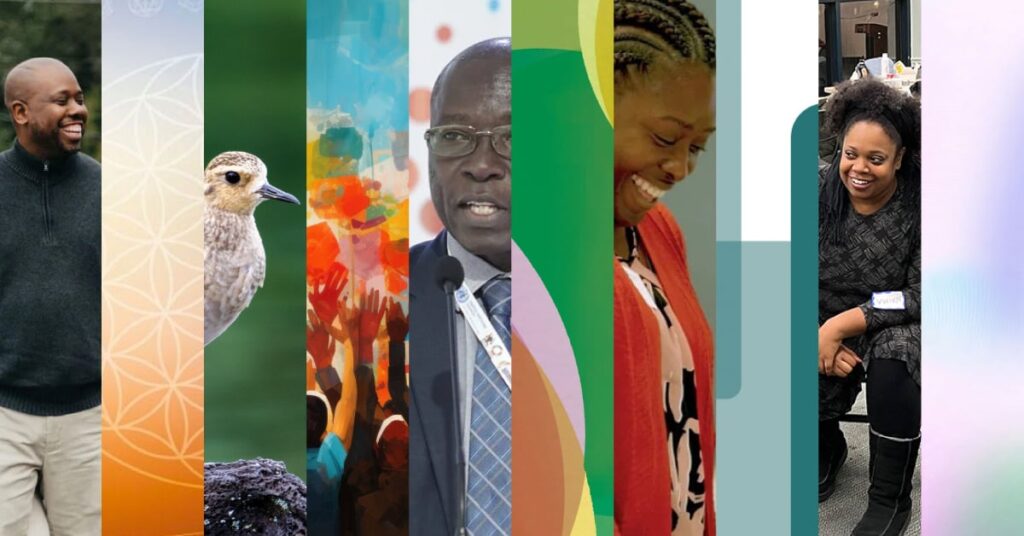 Mosaic of insights for change posts