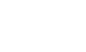 Asian Americans / Pacific Islanders in Philanthropy logo