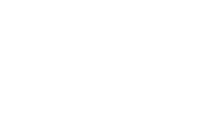 Native American in Philanthropy logo